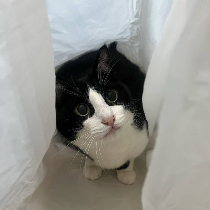 D5532687 b429 4a4d a2ea 5ebbb294de2a 1758807555546