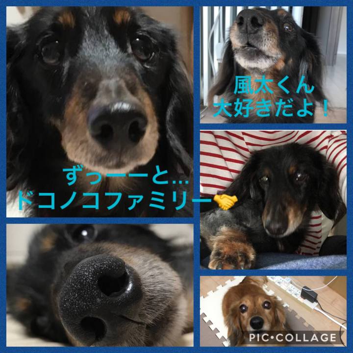 D5532c39 96e0 4e74 87cf 74f224a32427 1534942244938