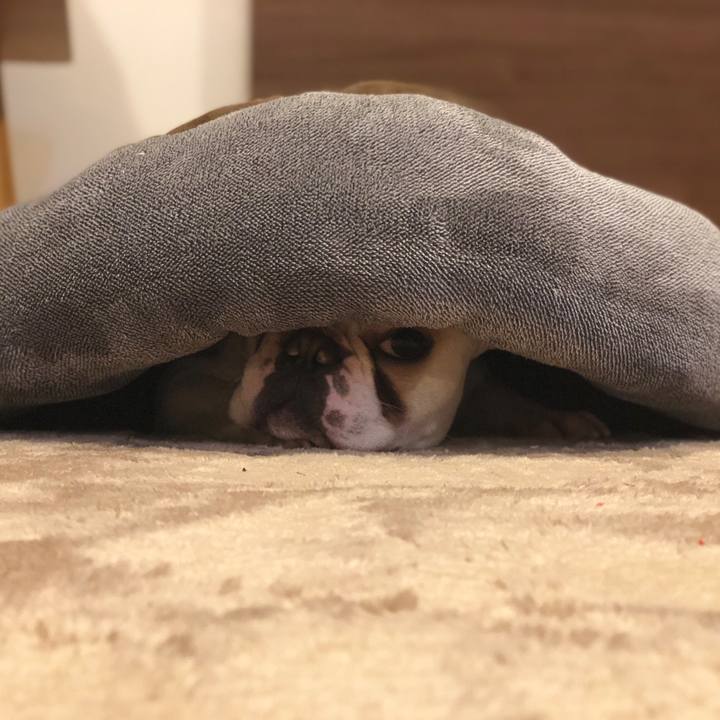 D5533d0a c404 4cf9 9aaa 6692b0626a4e 1516292292373