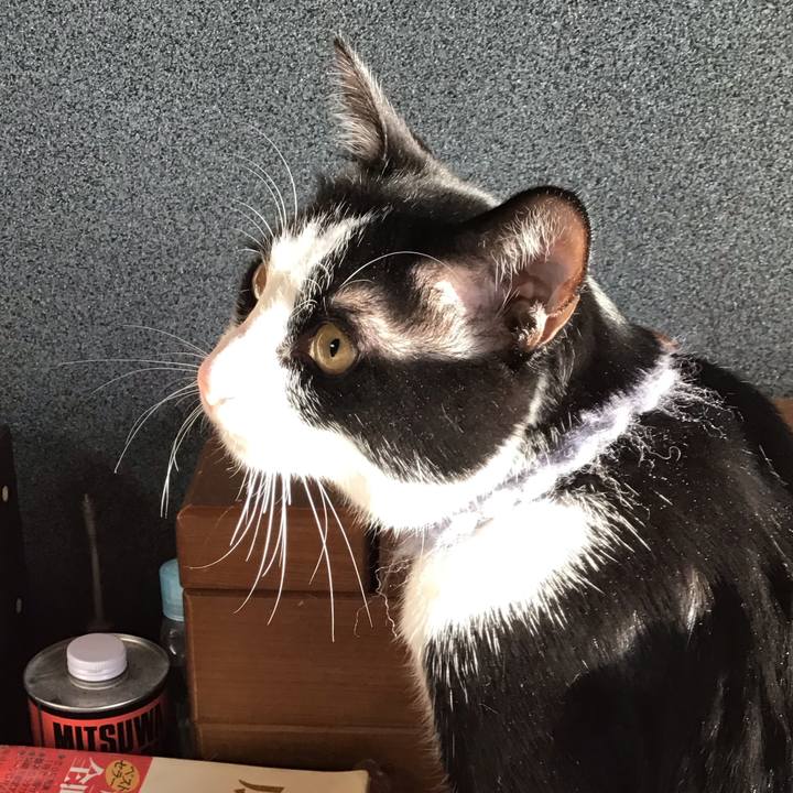 D5537be2 5c30 43cc 91e3 2c48ff71abd6 1643768566319