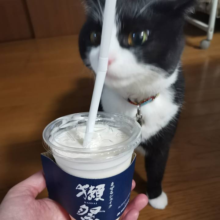 D5537e67 c8e2 4026 a3f2 097c1afe3638 1609416233472