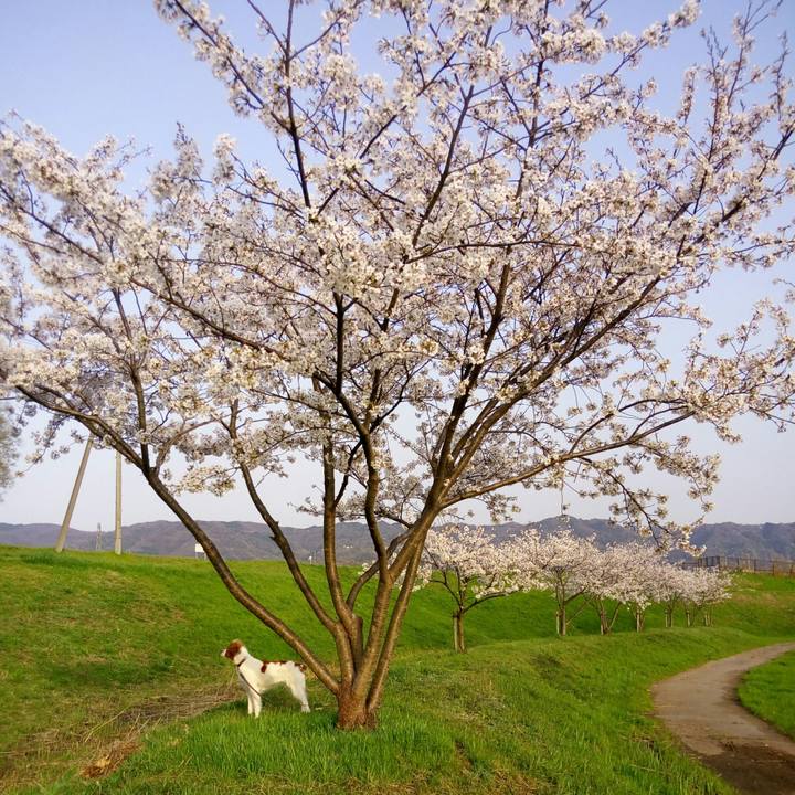 D55385b7 c3e7 4e1b a4f3 866b5ef9066d 1522325962919