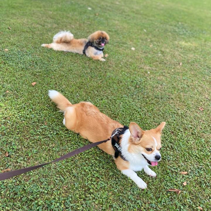 D553b6a1 1a8a 4bce a7de ae0f6a19f0b5 1657238949509