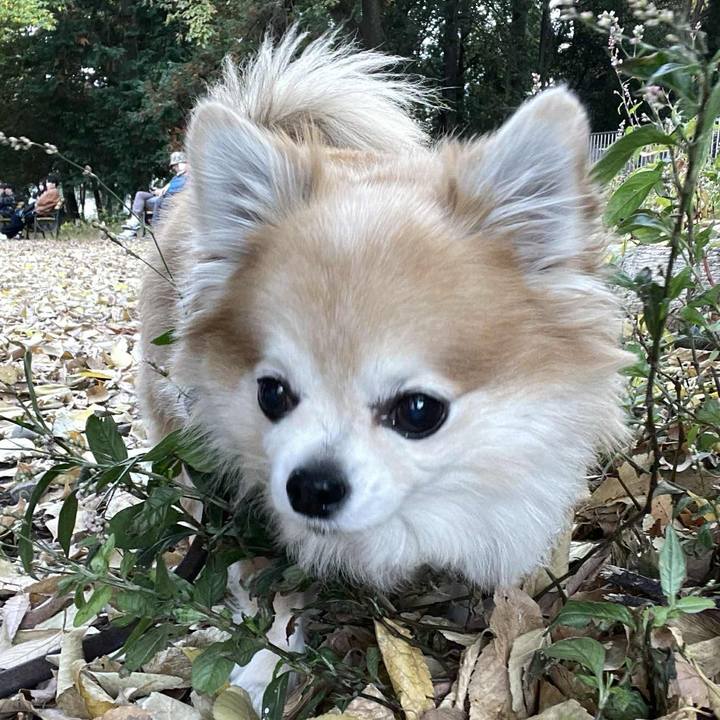 D553bfda 483a 4d33 84e6 5f375bc9b255 1764076023788