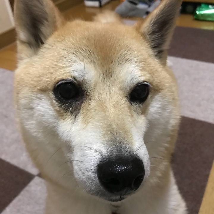 D553ca79 ffd9 4f73 8a58 f3006623e3df 1528684407106