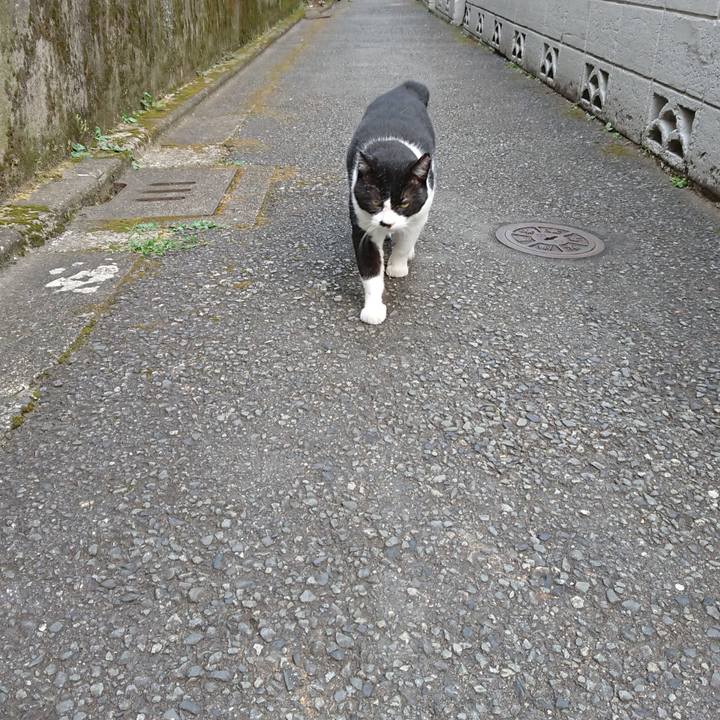 D553e760 1b1f 489a bd8f 8e6592c9b138 1598825615800