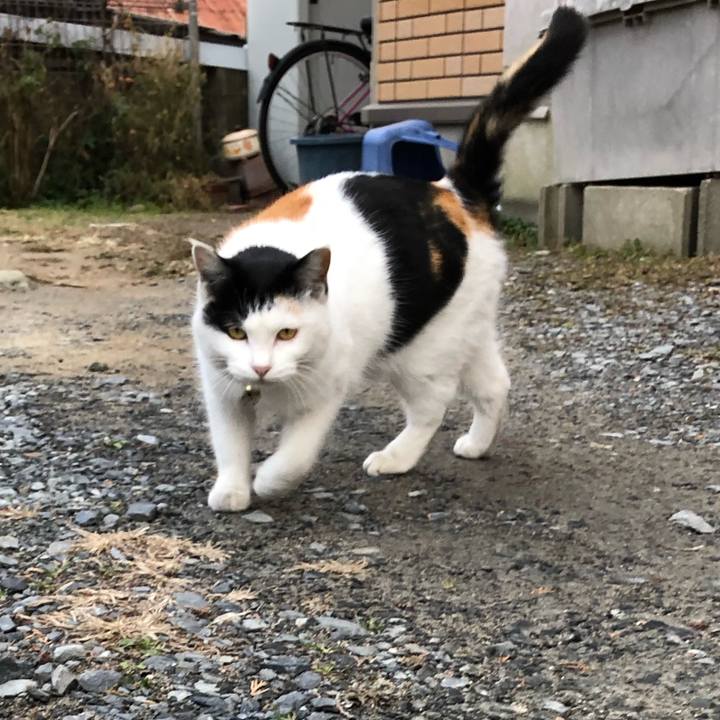 D553f765 8ffe 482a 8599 852aabe9f8f0 1610365199244