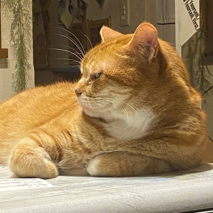 D5540819 7438 4a73 9b93 f8440c657eed 1621254317709