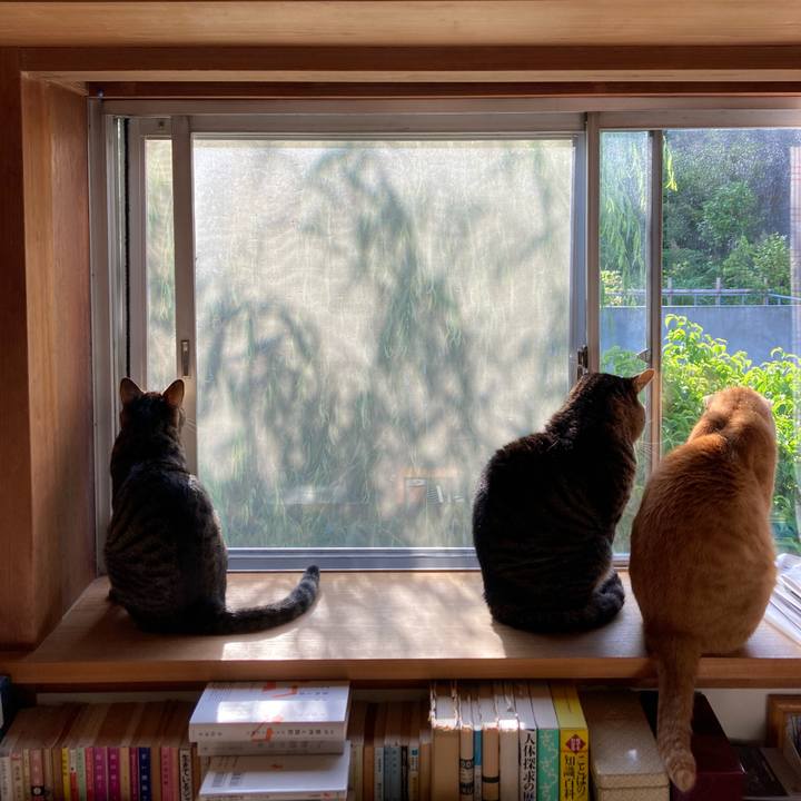 D5541fd0 5046 4a53 ace3 6350195c8938 1715899418658