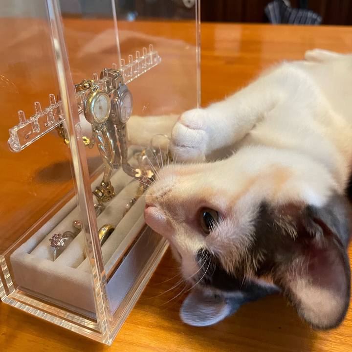 D5542f53 b5f8 4b35 9f21 88778ccdddbd 1662638553401