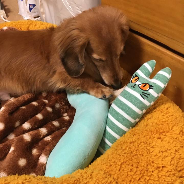 D5543680 cc44 4d4b 8260 4b80a91f20d7 1610105811444