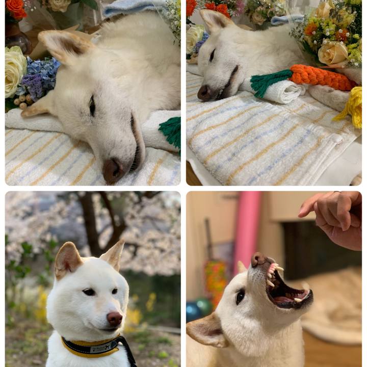 D5543cba 3c18 4d9f a9d9 3d0bec69bdf2 1654552302773