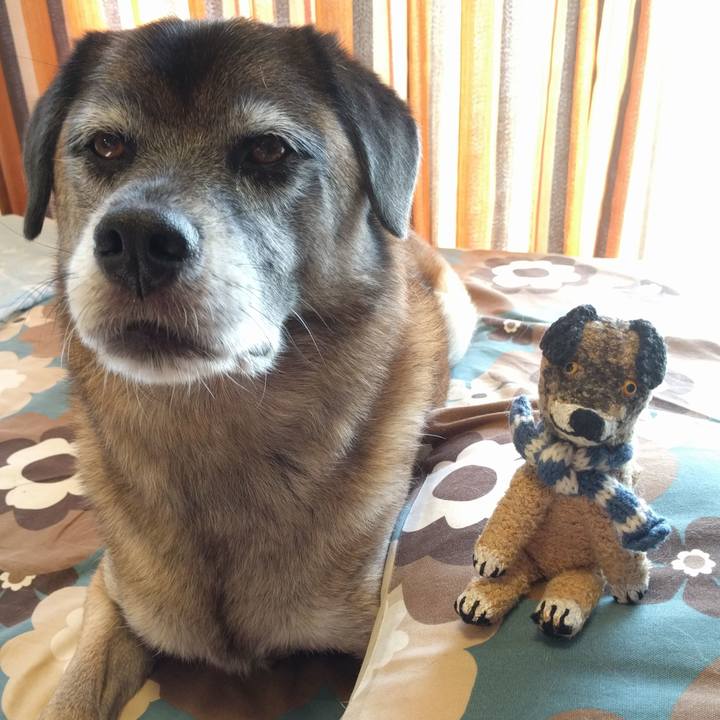 D55445ff 6f96 4bfd a766 ddb7d5dc5059 1691456981013