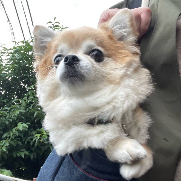 D554573d 86d5 47d7 8d02 dcd97416545d 1761369003397