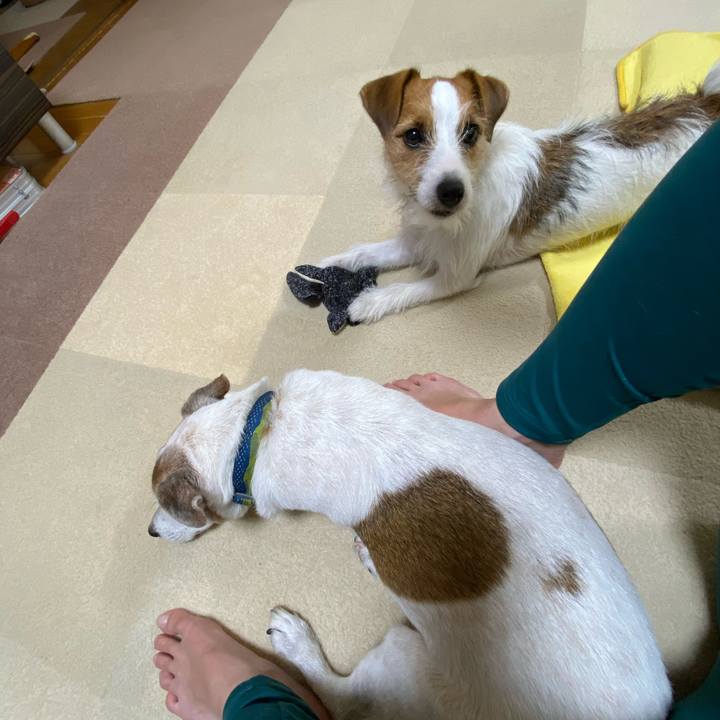 D554a3a1 b302 4744 a4bd 4d17131e3458 1660955282714