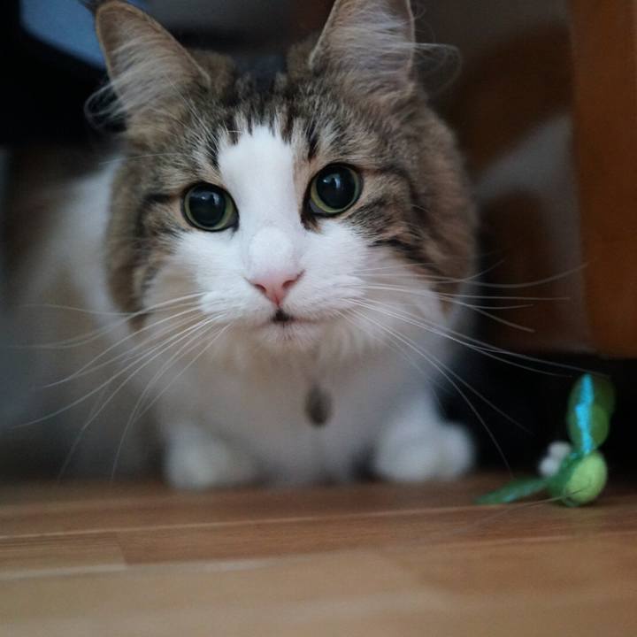 D554a492 d89a 4310 b123 254af9d1ed80 1571196679996