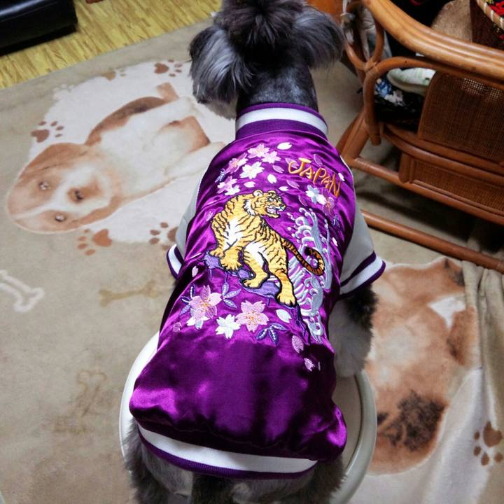 D554b282 d252 4292 a45b f50e7e19333f 1510841666042