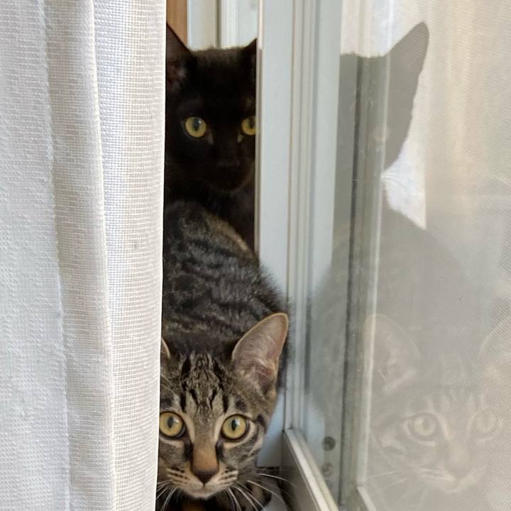 D554e03b 7d89 4525 b3f0 beea4f9af463 1645357415885