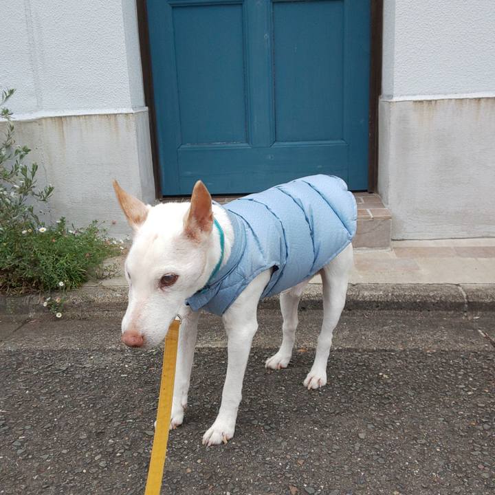 D554e478 61d3 4a8f a2b5 19b1fb1bfa4e 1541113119960