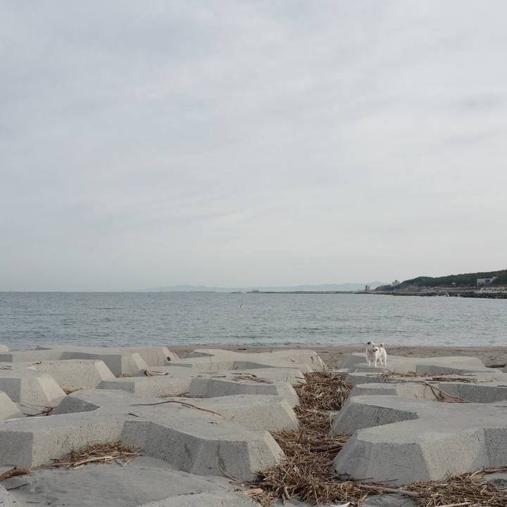 D554e786 f5d9 44b0 9ad9 ade418e16171 1571629918022