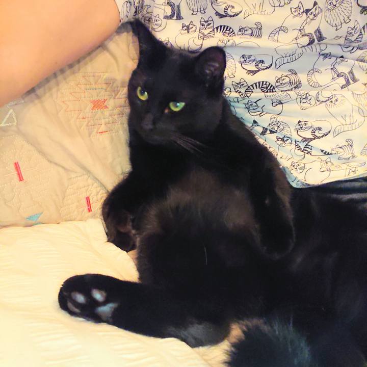 D5551d36 ff28 4dc3 b0bc c7dcb1bb5849 1538275848132