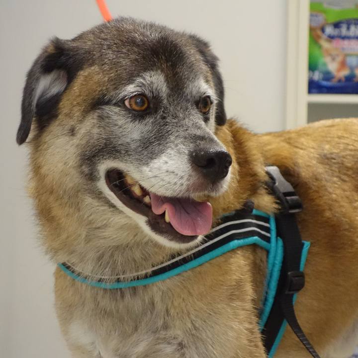 D5554cf8 0b4f 400c a97f db1c61d5fade 1647478094366