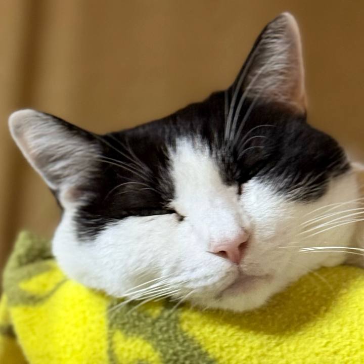 D555633e 1e3a 4b9f aeb9 702a8d7f4204 1738372076451