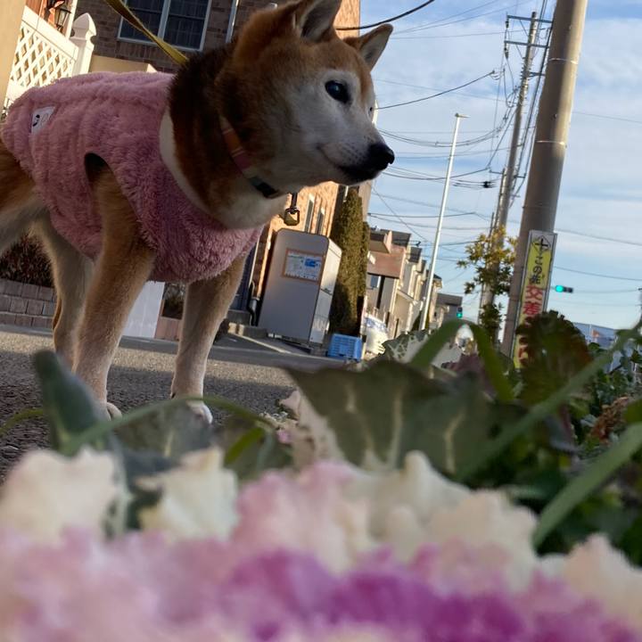 D5556a2e e6dc 4430 be93 0008d8537ded 1769846245978