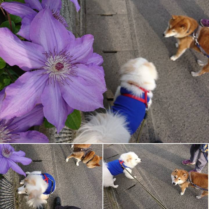 D5558134 a374 4188 a357 f15d59a1a402 1526853363787