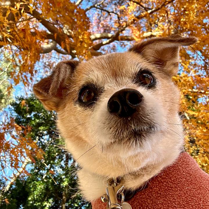 D555b0f7 0c6b 4878 9f01 3211f04d93a2 1671346839058