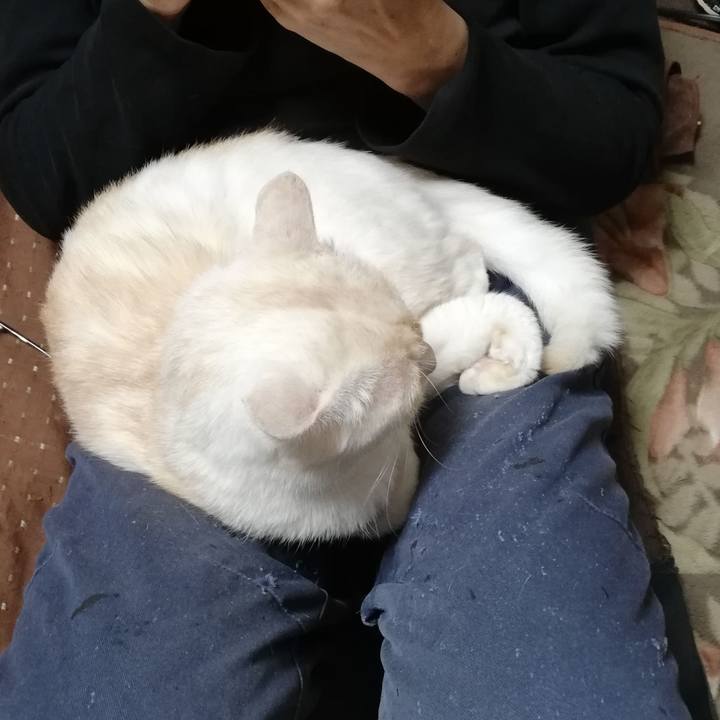 D55631c7 0479 416d 90ff f0544453c4f0 1705964919162