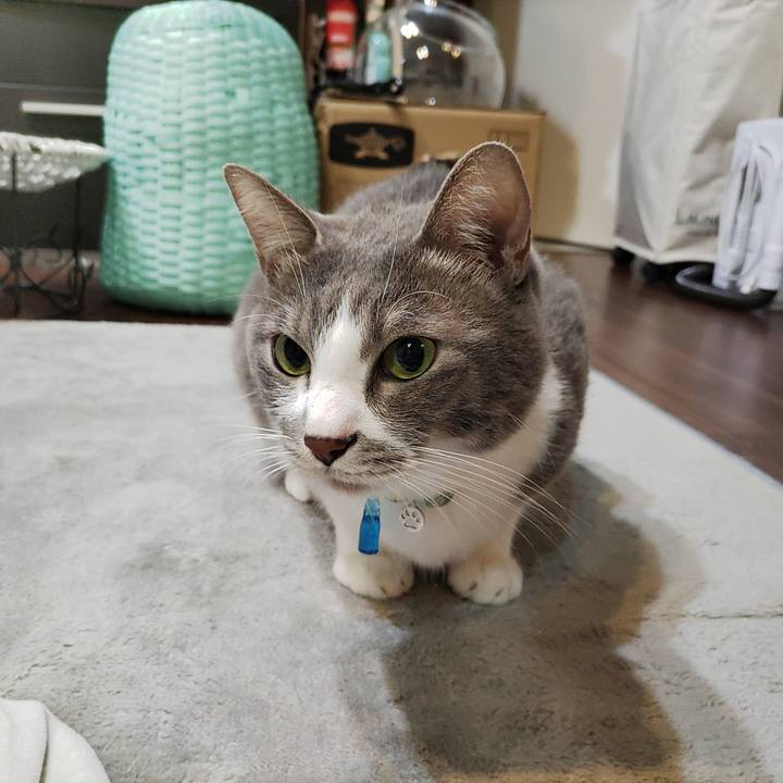 D5563476 55f5 4de0 8f4b 03969a212e39 1698940339680