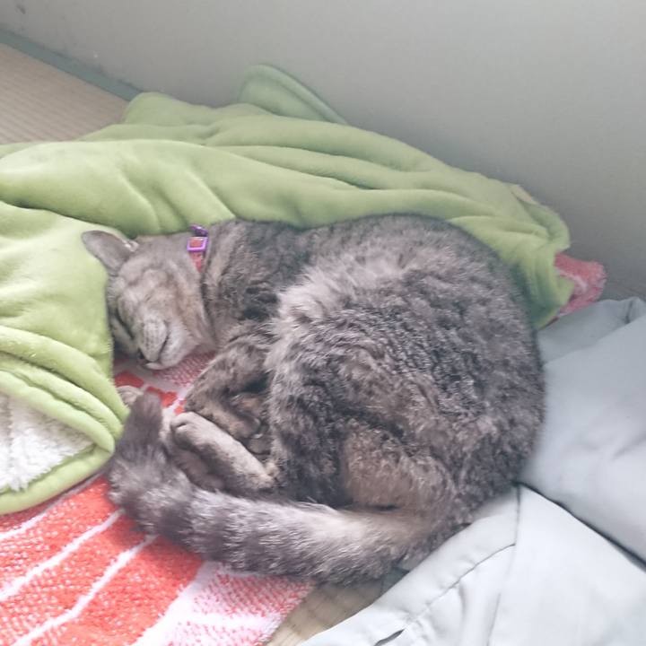 D5563e42 d575 4474 b946 ca468ec166c0 1593213103664