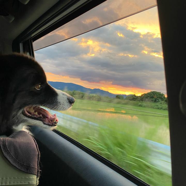 D5565853 1fc3 4391 8f47 a17e0bae96ee 1656757936936