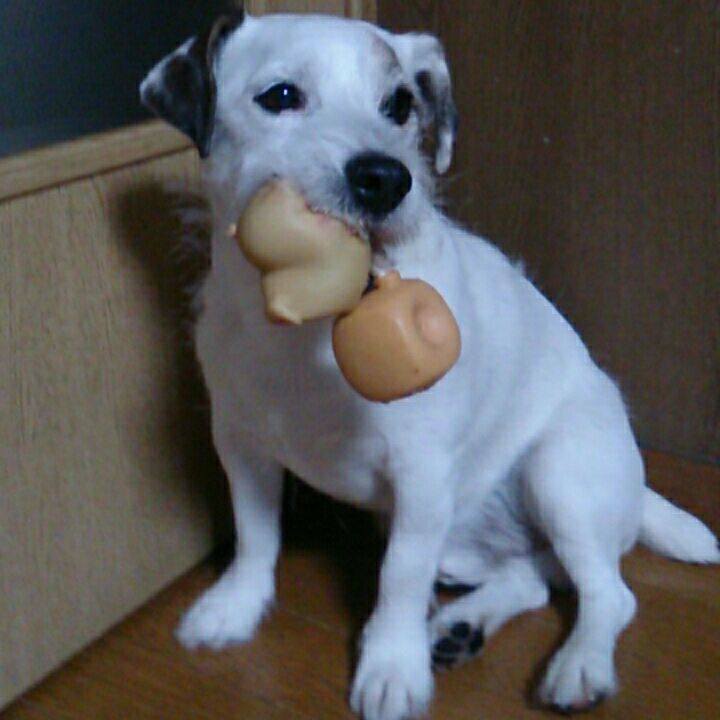 D5567227 c1f3 4faa afb7 5830b0193ce4 1512689334952