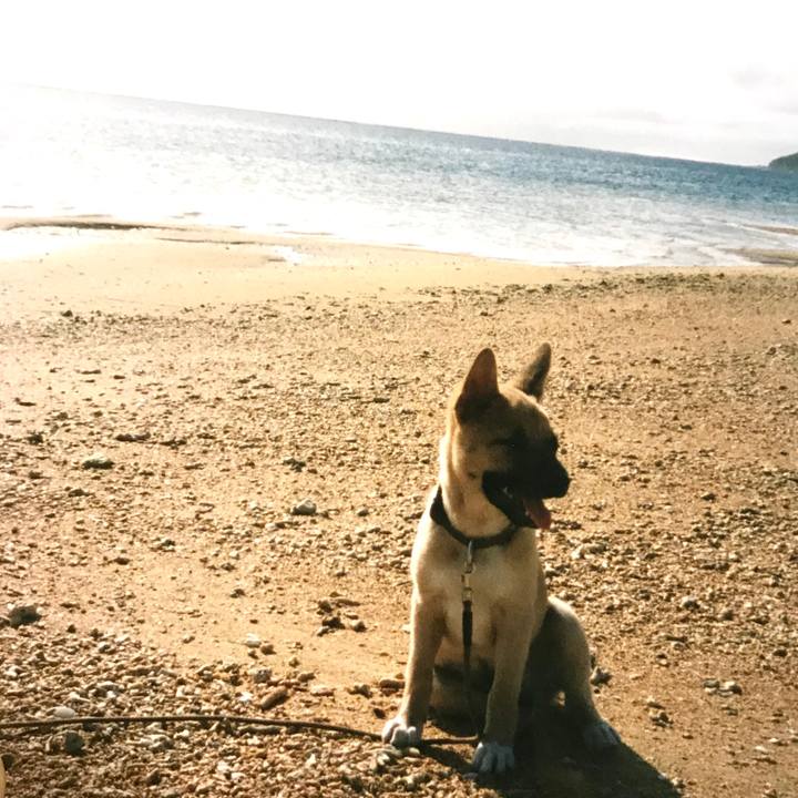 D55688b1 2057 4178 810f a2f73cf407fe 1573574208105