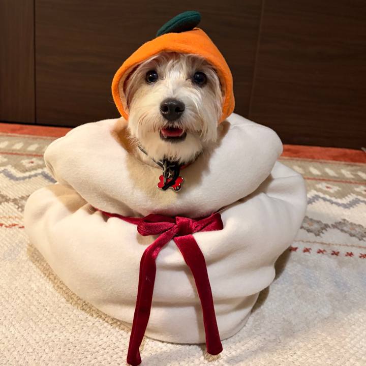 D556952f 40de 4f28 9898 e28ee627c353 1767222770748