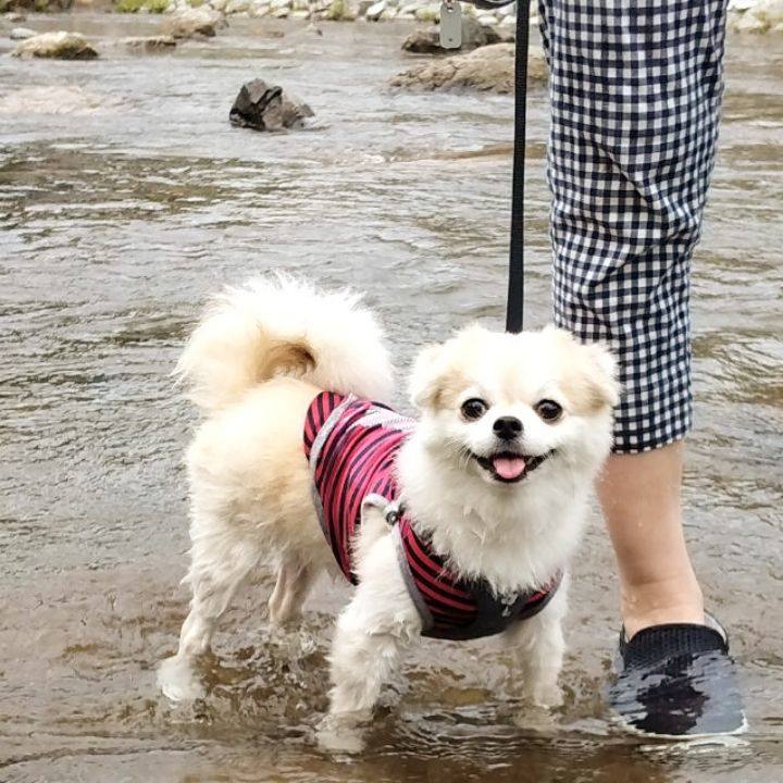 D556e4ef aa84 41a4 9d50 38872a0c9e89 1727086922454