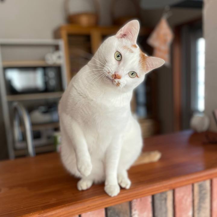 D556ed0f a4a6 4fb2 afa7 2c9a79363837 1644387043161