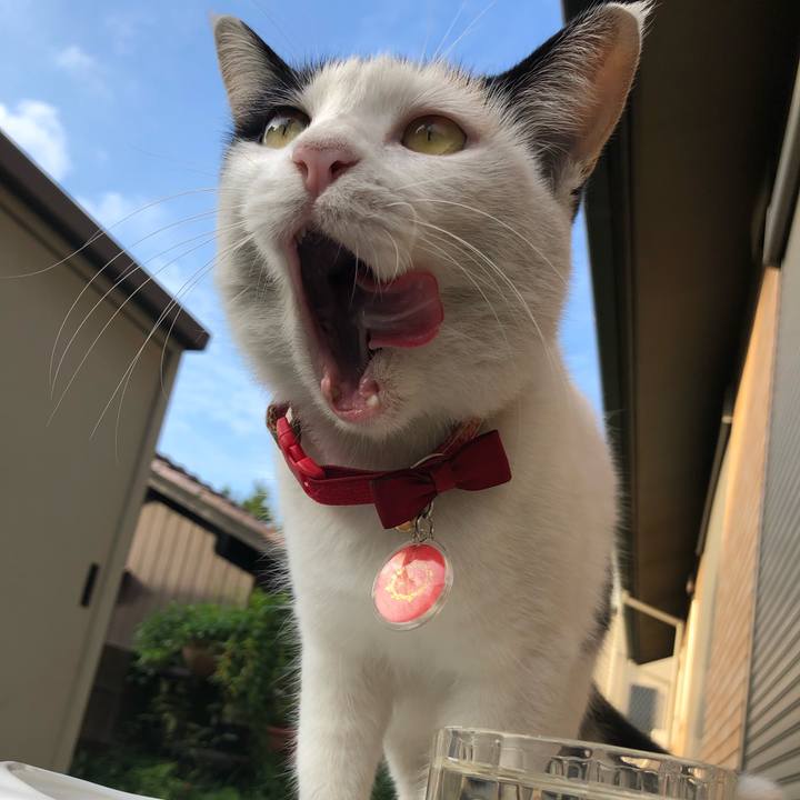 D556f6be dc54 4b2b 99e1 752ee41b3e71 1632611282772