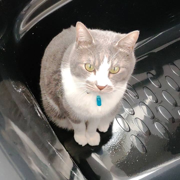 D55785ef f80b 4c8c 9316 f91fbdbfd235 1711168895889