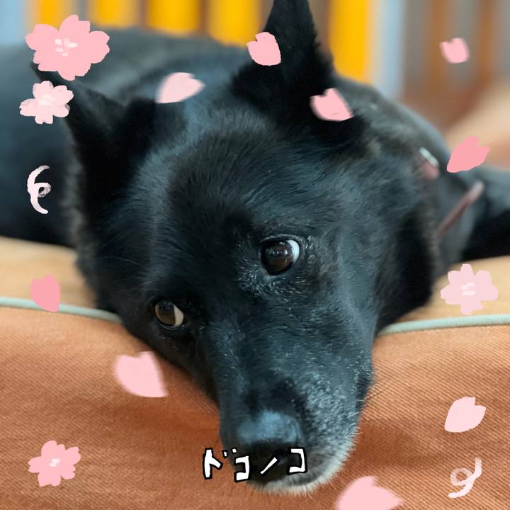 D55836d2 5432 466d b9f2 ac2ee38cadff 1744354071615