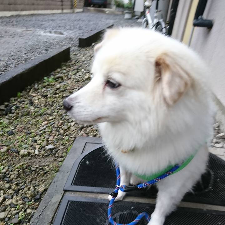 D5583a20 e0c4 4265 855d 3a55e34b452f 1538257473537