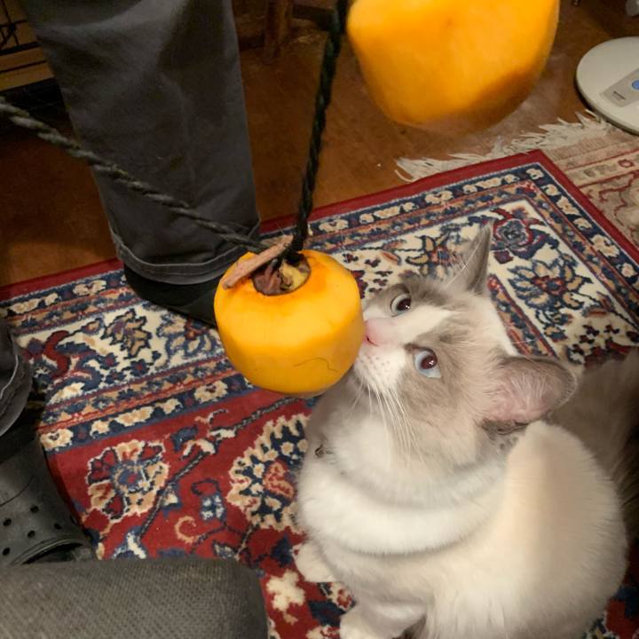 D5584b0a 42d7 4a58 b5d2 929252134ca5 1634990728867