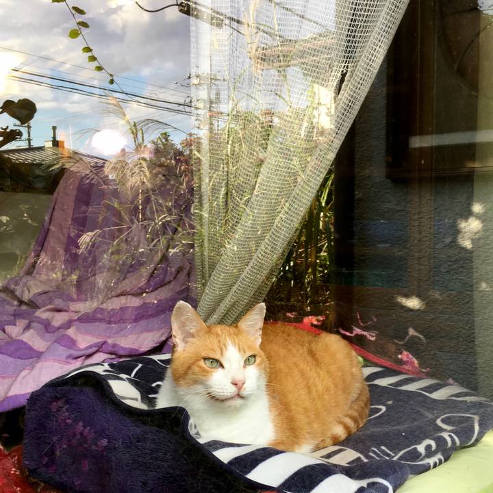 D5589627 3eb6 41ef 817c 4a2673edca91 1602456590871