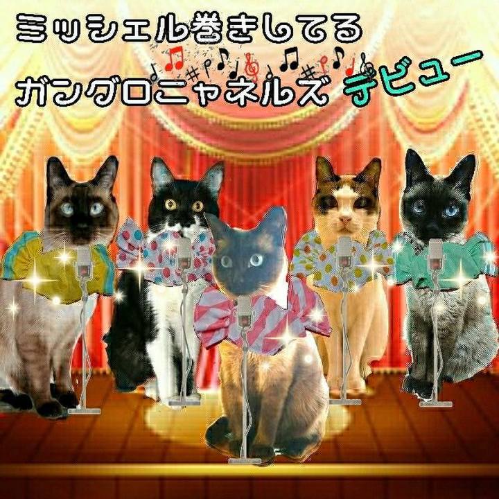 D558b3ae 5a89 4224 9121 b4950e660418 1526827548593