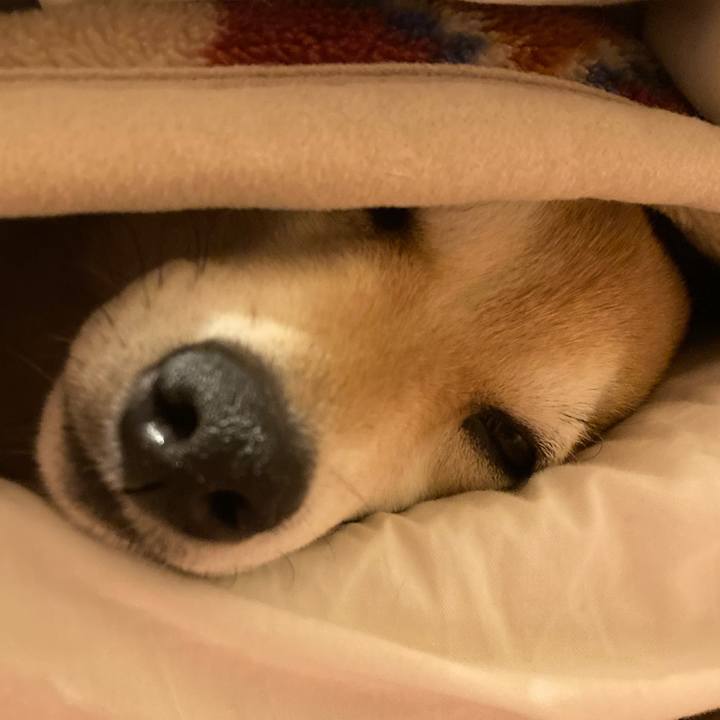 D5592f27 dbb8 4f4f 927f fa6b3aa164bf 1673820081209