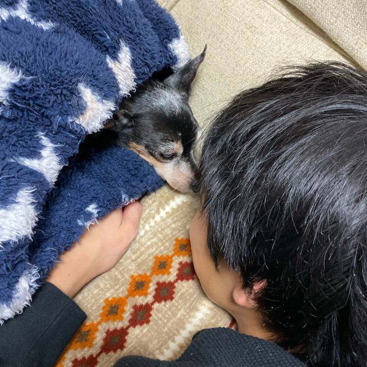 D5593031 4256 418c ba38 7d7583ffc304 1578138633663