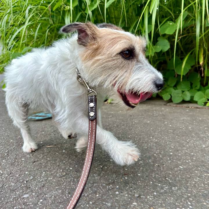 D55939bc 10e2 44d6 b29f 4796d264f3d8 1727020766535