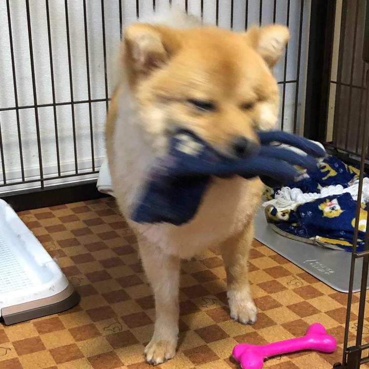 D5593b16 aec3 4a55 8edc 53068489e284 1596195516434